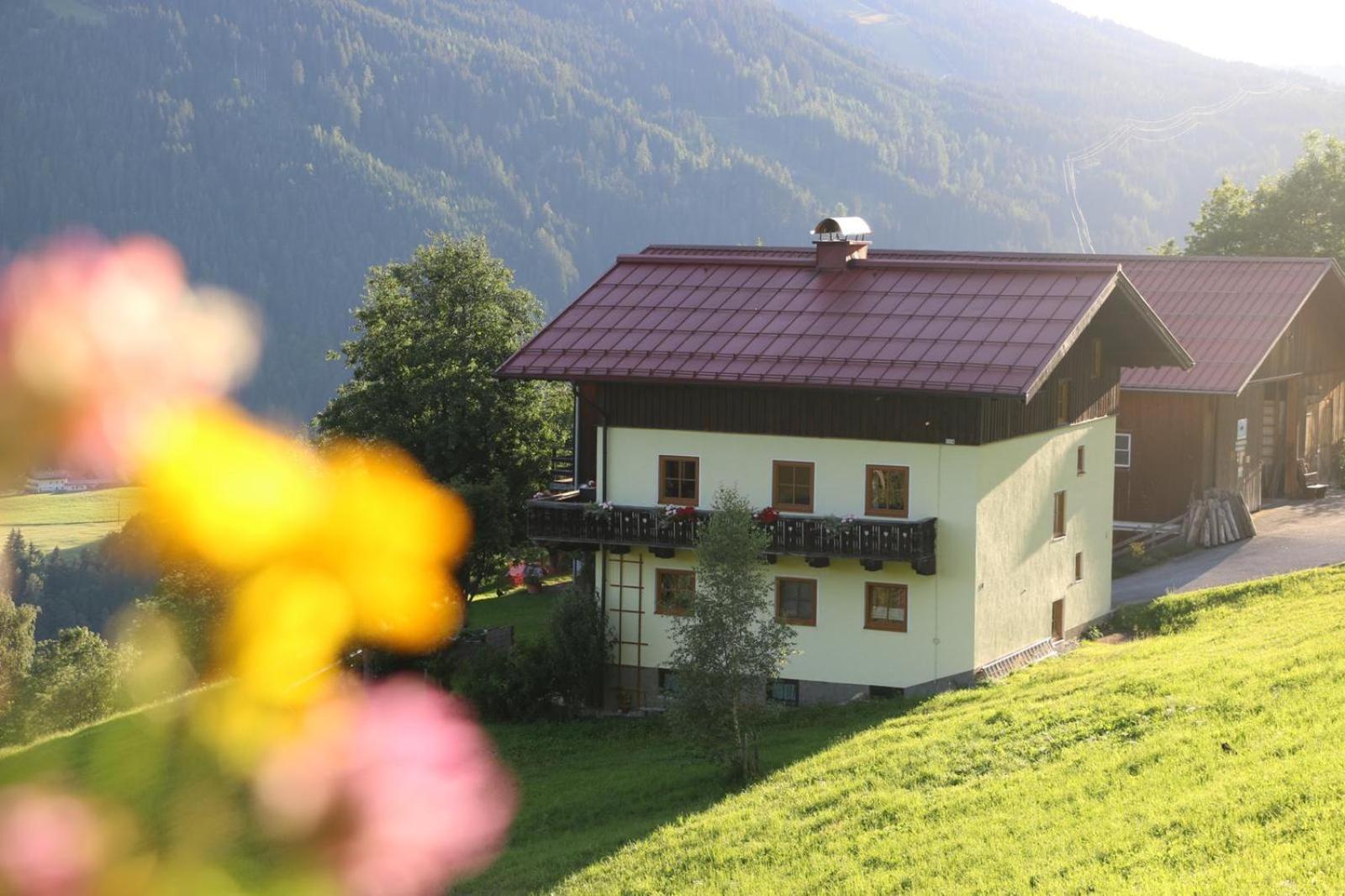 Mühlbach am HochkönigMolteraugutアパートメント エクステリア 写真