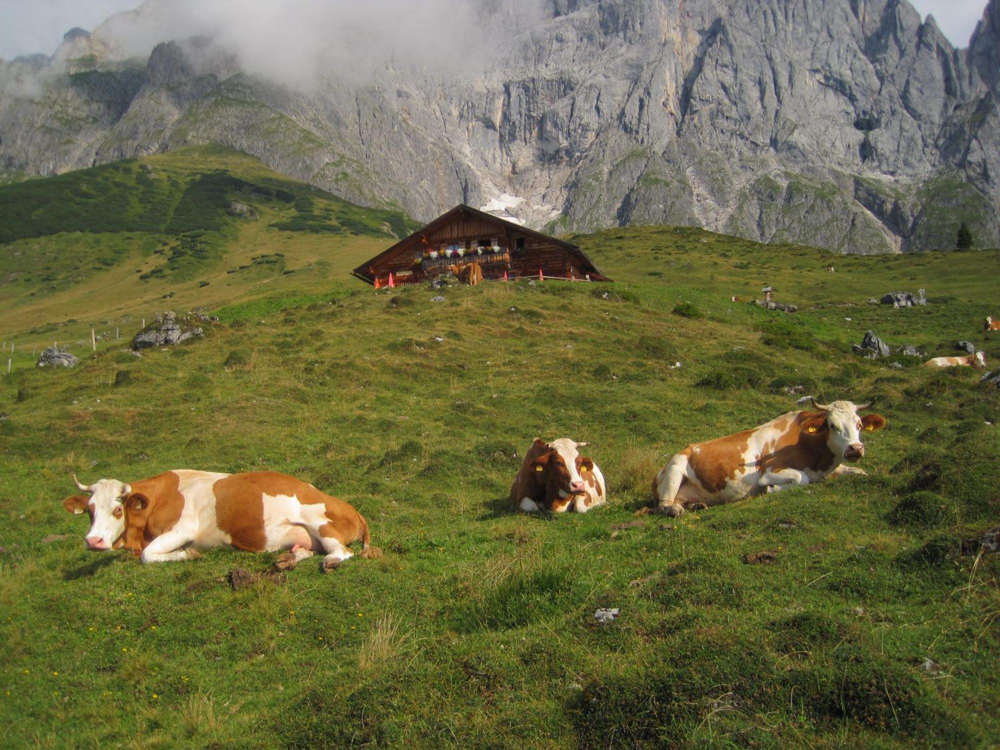 Mühlbach am HochkönigMolteraugutアパートメント エクステリア 写真